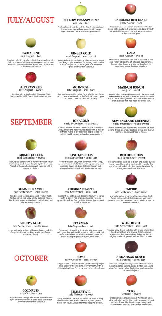 Apple Varieties Altapass Orchard