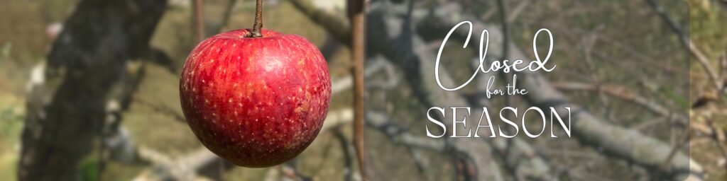 closed for season mail chimp