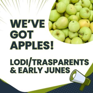 We've Got Apples!!