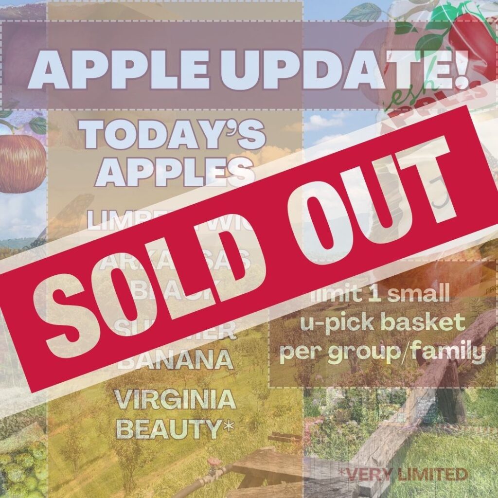 apple update 913 (3)