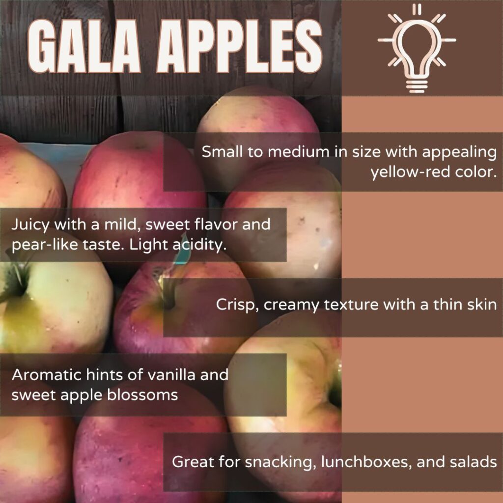 gala (3)