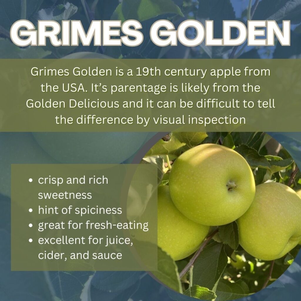 grimes golden